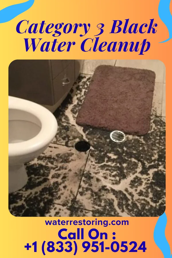 Category 3 Black Water Cleanup in Blue Ridge Manor, KY