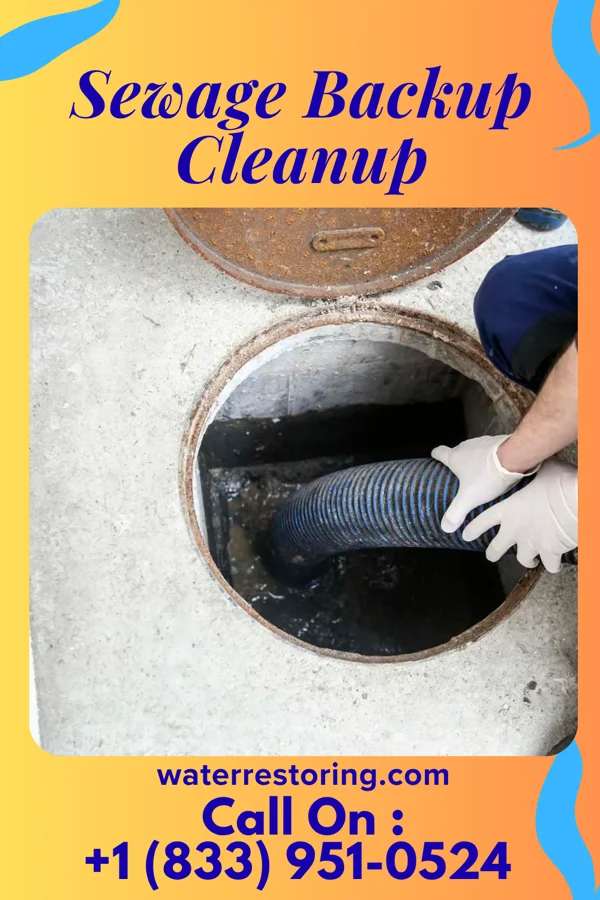 Sewage Backup Cleanup in Blue Ridge Manor, KY