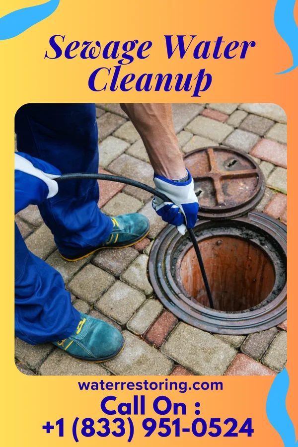 Sewage Water Cleanup in Blue Ridge Manor, KY