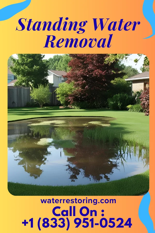 Standing Water Removal in Blue Ridge Manor, KY